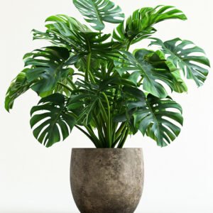 New Arrivals product 01